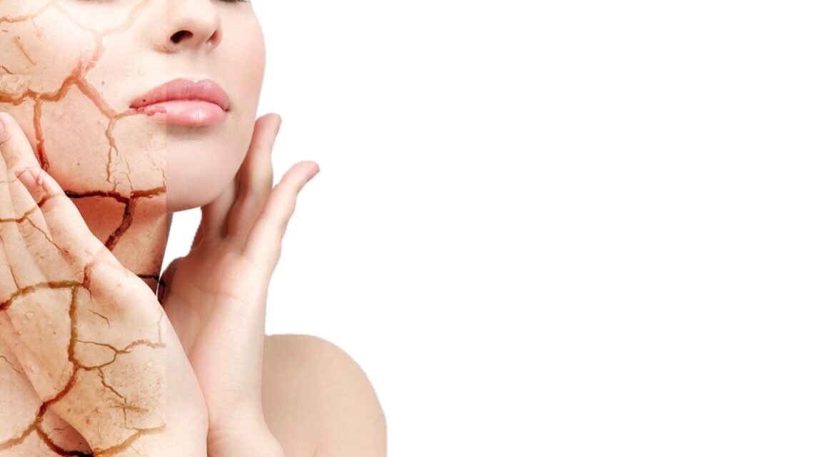 Obrázek WhatsApp, 2025-11-02 v 15.20.07_65fe9965